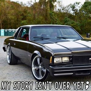 Meet your Posher, Robert